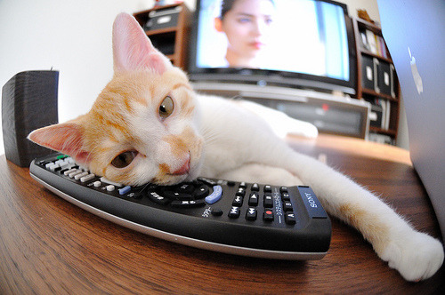 逆转之夜，凯恩关键一击，南非力克芬兰